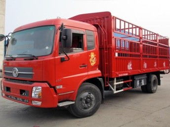 圖 青島到樂山物流公司 城陽區鼎盛泰貨運部 青島物流